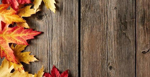 獨立站聯(lián)盟營銷流程